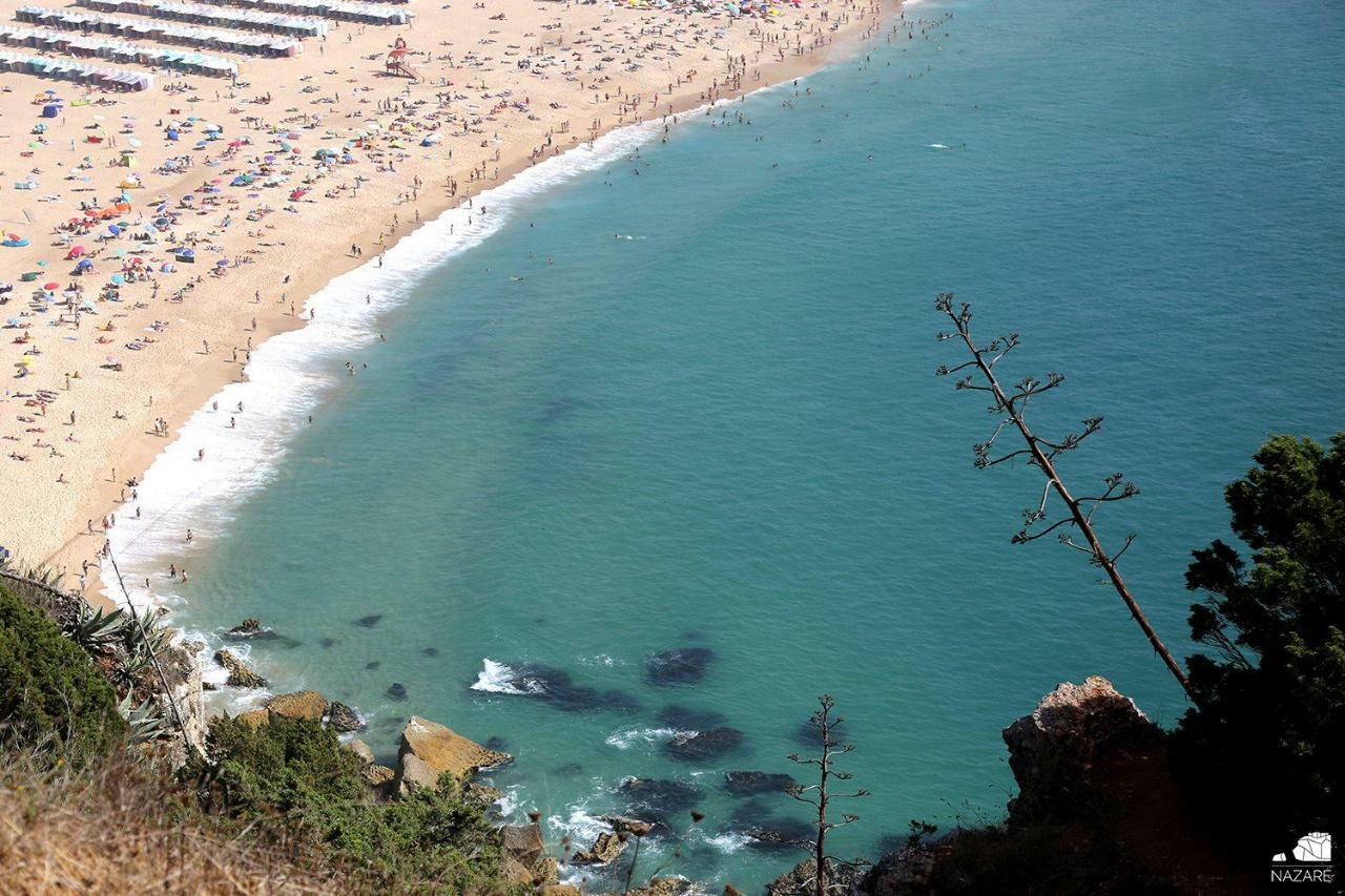 T4 Luis Apartment Nazare